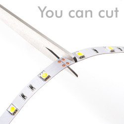 Tira LED 24V | 60xLED/m | 5m | SMD2835 | 780Lm | 5W/M | IP20