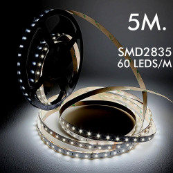 Tira LED 24V | 60xLED/m | 5m | SMD2835 | 780Lm | 5W/M | IP20