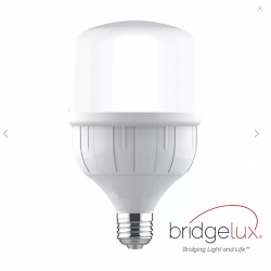 Lámpara LED 40W BRIDGELUX E27