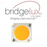 Empotrable LED 5W Blanco Bridgelux Chip - 40° - UGR11- CCT